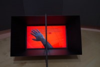 https://yazankhalili.com:443/files/gimgs/th-81_DSC_5498.jpg